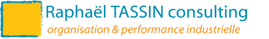 logo raphael tassin consulting